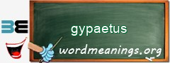 WordMeaning blackboard for gypaetus